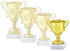 6573 D - Economy Cup